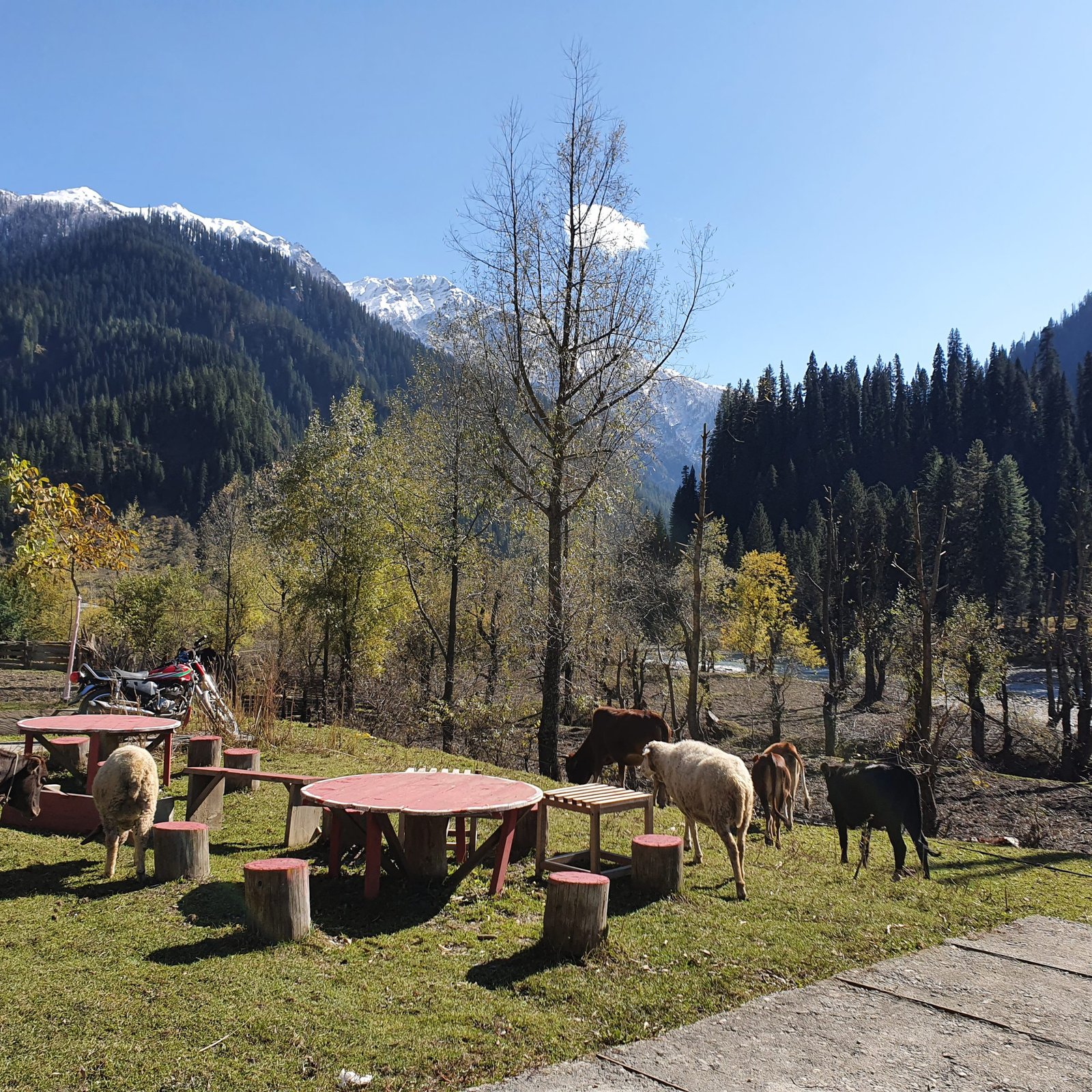 Taobat Neelum Valley