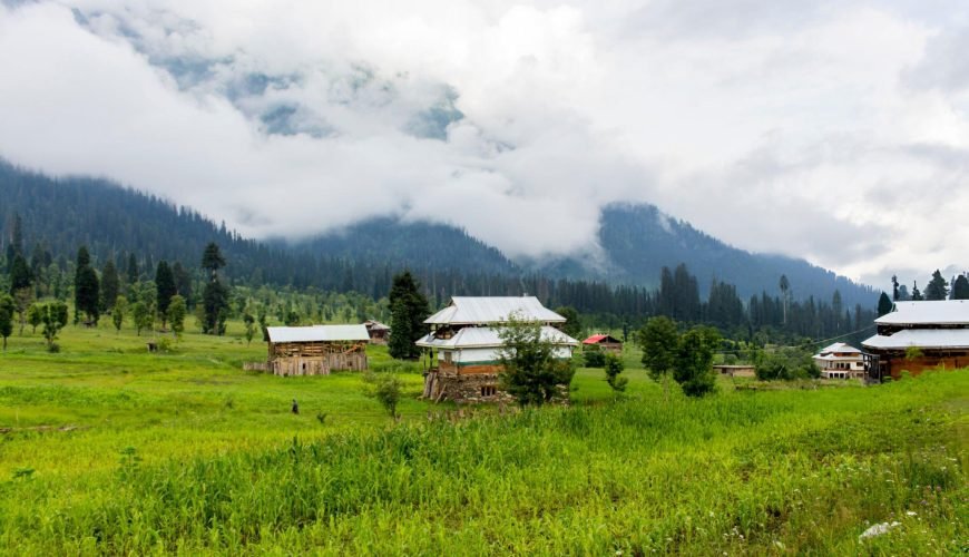 Lush Green wooden houses in Arang Kel